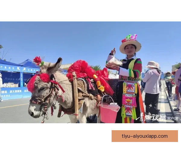 青海卫视足球直播引领高原绿茵激情共赏精彩赛事瞬间全程呈现魅力